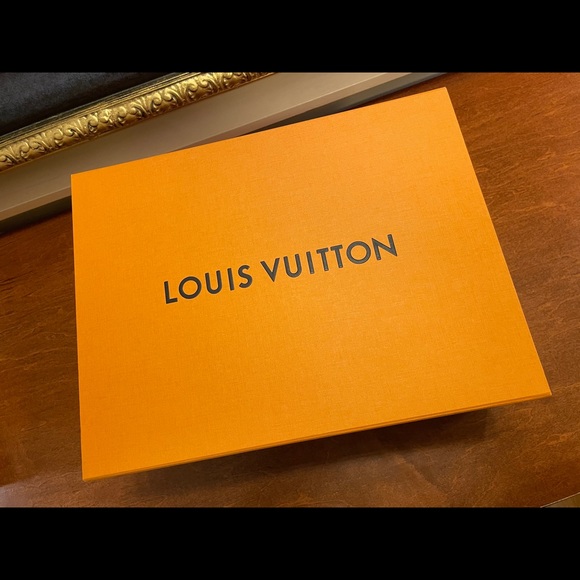 Louis Vuitton Lucien Clarke a view sneaker Sz 9.5 - Picture 8 of 9